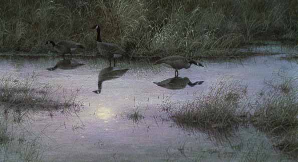 Moon Shadows by Stephen Lyman