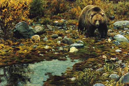 Trailblazer - Grizzley Bear by Carl Brenders