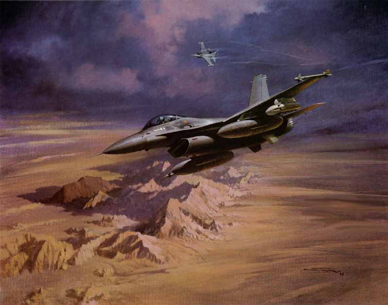 Fighting Falcons by Michael Turner